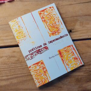 zine - práticas da impermanência